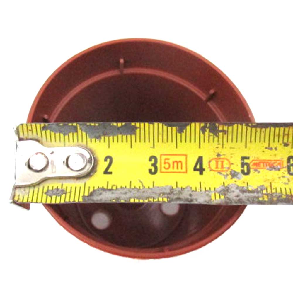 Pot 5,5 cm de diamètre par lot de 25 - Kajuard Plantes