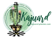 Kajuard Plantes